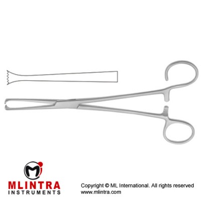 Colver Tonsil Grasping Forcep Straight Stainless Steel, 19 cm - 7 1/2"